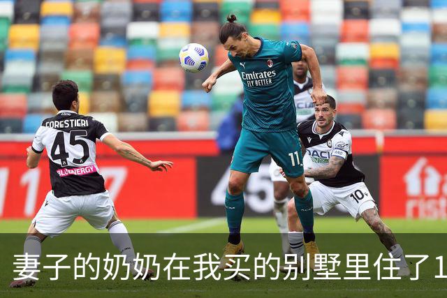 妻子的奶奶在我买的别墅里住了10年，80岁大寿时却突然宣布把房子给小舅子