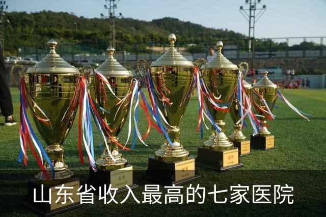 山东省收入最高的七家医院